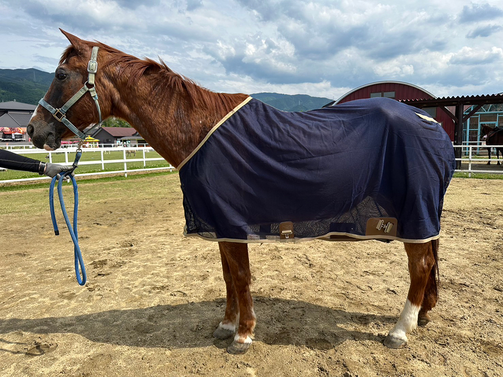 No.1200 レイス ♀