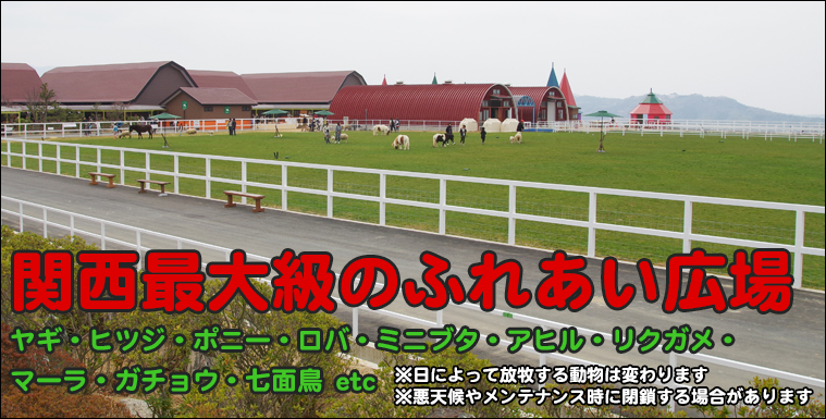 関西最大級のふれあい放牧場