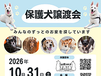 ヘラクレスオオカブトがやってくる