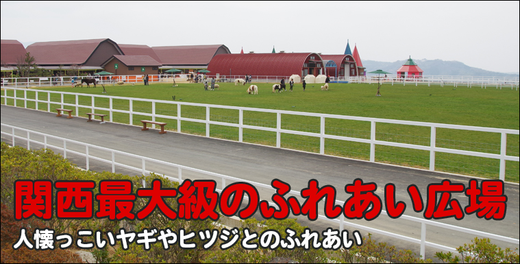関西最大級のふれあい放牧場